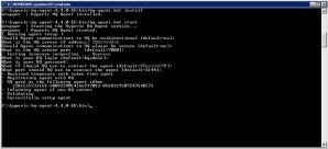 Install and start of Windows HQ agent